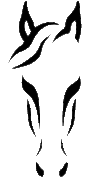 DARC Horse